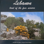 Read more about the article لبنان يهدي صباح الأحمد فصوله الأربعة