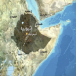 Read more about the article أسماء تابعين وتابعيات من الحبشة وصحابة وُلدوا فيها