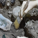 Read more about the article بالصور بومبي الإيطالية تزيح الركام عن اكتشافات أثرية جديدة