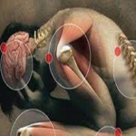 Read more about the article تفكيك شبهة إلحادية لإبطال إعجاز علمي في حديث ال 360 مفصلاً