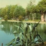 Read more about the article مرابع ومسرات حديقة سور الأزبكي