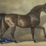 Read more about the article وقفات مع مجلة رسالة الجواد العربي في إصدارها الجديد