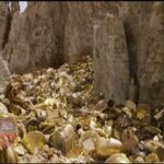 Read more about the article عملات ودراهم ُسكت في عهد الدولتين الأموية والعباسية – الحلقة الرابعة