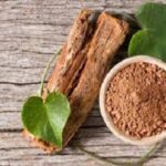 Read more about the article التداوي بعشبة القسط الهندي