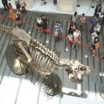 Read more about the article إلغاء بيع ديناصور واكتشافات آشورية وبيع ماسة ب 28 مليون دولار