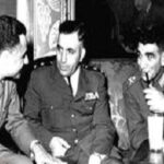 Read more about the article الشيخ الطنطاوي وشهادته على انقلابات سورية ومصر في الخمسينيات