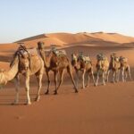 Read more about the article هجرات آل صباح والعتوب وغزو بنو كعب للكويت – الحلقة الخامسة