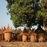 Read more about the article “بغلة” بألفين روبية وعلاج ضرس ملكة يودي بحياة أهل قرية !ّ