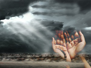 الكرم والعطاء 