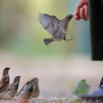 Read more about the article رفق الإسلام والخلفاء والصحابة الكرام بالحيوان والدواب