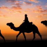 Read more about the article البدواة ولغات العرب ونوادر النصوص المفضّلة في عدد تراثنا الثاني