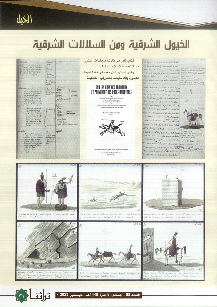 سلالات الخيول الشرقية ، مجلة تراثنا - العدد 88 ديسمبر 2023 - ص 31
