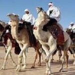 Read more about the article الخيل العربية رمز الدلال والأصالة والقوة والتباهي