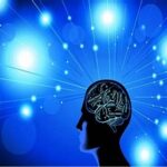 Read more about the article تحديات وحلول لإنشاء منصة إلكترونية للمقتنيات التاريخية النادرة – الحلقة السادسة