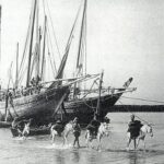 Read more about the article سفينة بوم القطاعة الشراعية ودورها في الاقتصاد الكويتي – الحلقة 8