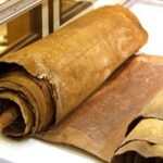 Read more about the article الأكثر مطالعة في مكتبات مركز المخطوطات خلال مارس 2025