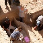 Read more about the article أخبار تراثية .. تشريح بقايا ماموث وترميم حطام سفينة سويدية