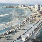 بلاحات حي العجمي بالاسكندرية