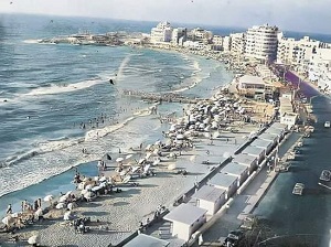 بلاحات حي العجمي بالاسكندرية
