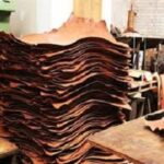 Read more about the article تطور دخول الجلود في صناعة الورق في العهود الإسلامية – الحلقة الخامسة