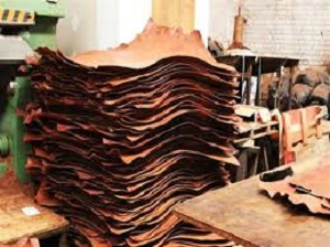 دباغة الجلود وفنون تجليد المصاحف والكتب 