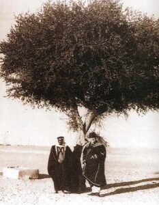 تحظى شجرة السدرة بأهمية خاصة في الكويت لتعدد فوائدها واستعمالاتها في القديم 