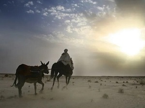 الرحلة لطلب العلم والتعلم