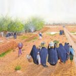 Read more about the article أماكن تواجد شجرة السدر في الكويت وسكن الجان فيها – الحلقة الثانية