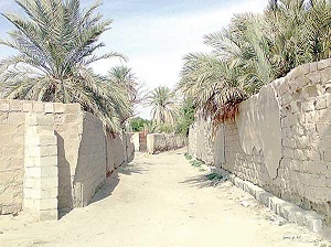 مزارع الجهرء في الكويت قديما 